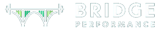 Bridge Performance